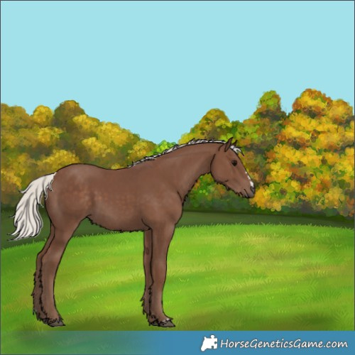 Horse Color:Silver Black 