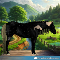 Horse Color:Void Painted Buckskin Ice Dun Splash Tobiano 