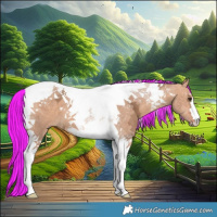 Horse Color:Painted Chocolate Silver Bay Ice Dun Tobiano 