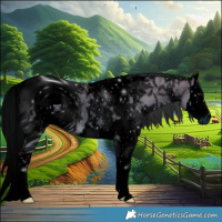 Horse Color:ERROR: UNKNOWN ANOMALY