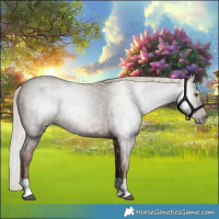 Horse Color:Gray Silver Black Pearl Tobiano 