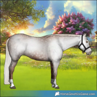 Horse Color:Gray Silver Black Pearl Tobiano 