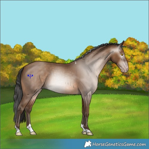 Horse Color:Gray Amber Champagne Tobiano 