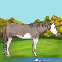 Horse Color:Bay Splash Varnish 
