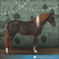 Horse Color:Liver Chestnut Tobiano Rabicano 