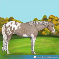 Horse Color:Silver Smoky Black Splash Tobiano Blanket 