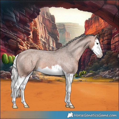Horse Color:Silver Brown Splash Varnish 