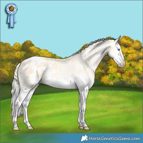 Horse Color:Palomino Pearl Dun Splash Appaloosa 