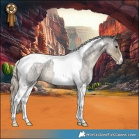 Horse Color:Silver Smoky Blue Ice Roan Tobiano 