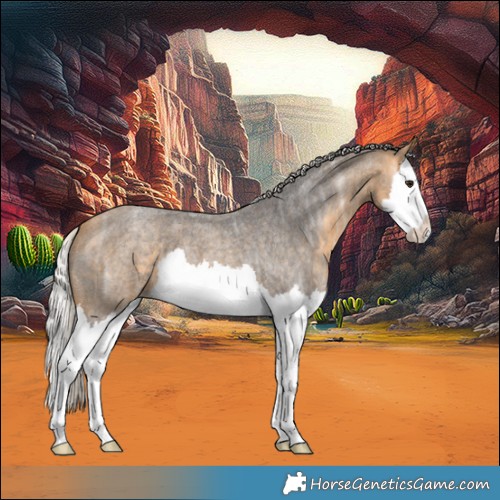 Horse Color:Silver Buckskin Ice Roan Splash 