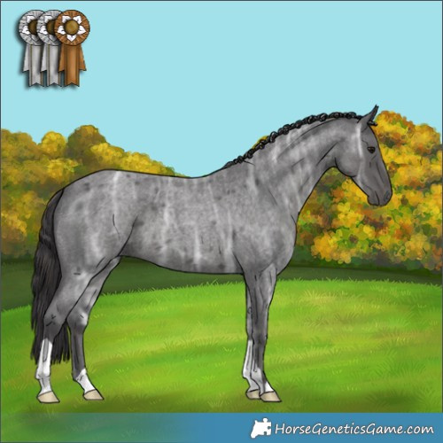 Horse Color:Smoky Blue Ice Roan 