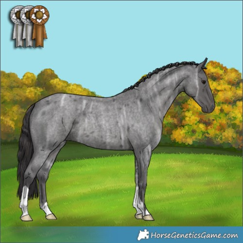 Horse Color:Smoky Blue Ice Roan 