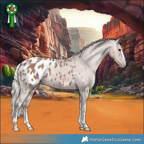 Horse Color:Silver Black Ice Appaloosa 