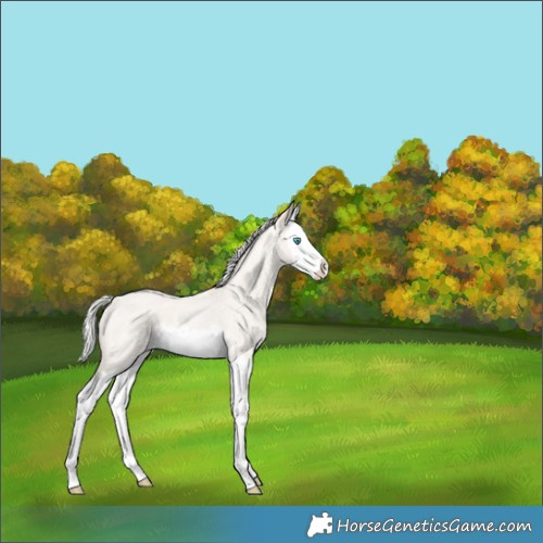 Horse Color:Silver Smoky Creme Ice Roan Splash 