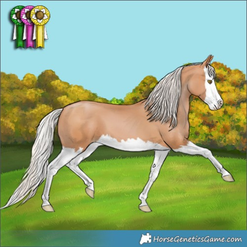 Horse Color:Silver Brown Pearl Splash 