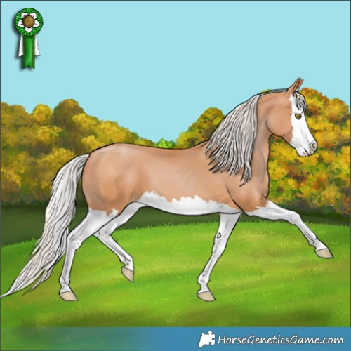 Horse Color:Silver Brown Pearl Splash 