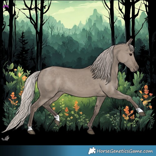 Horse Color:Silver Grullo 