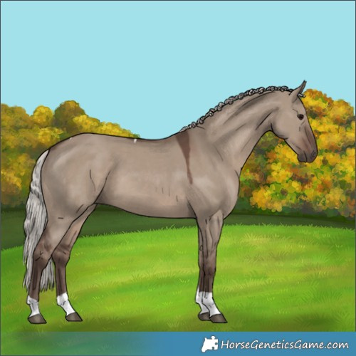 Horse Color:Silver Grullo Tobiano 