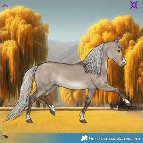 Horse Color:Liver Red Dun Mushroom 