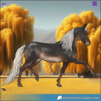Horse Color:Liver Chestnut Mushroom 