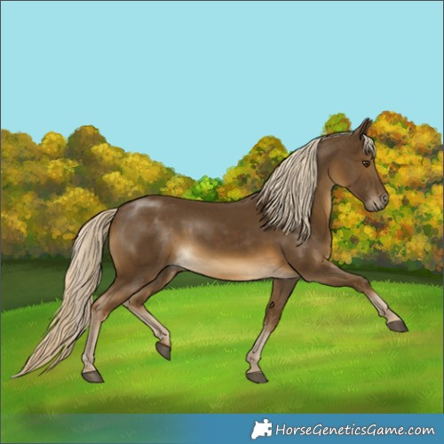 Horse Color:Chocolate Palomino Mushroom 
