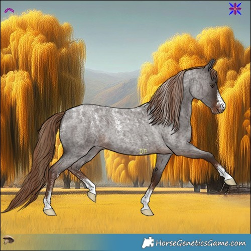 Horse Color:Powder White Liver Red Roan