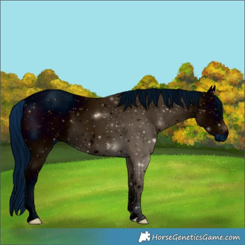 Horse Color:ERROR: UNKNOWN ANOMALY