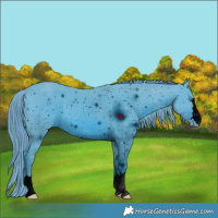 Horse Color:ERROR: UNKNOWN ANOMALY