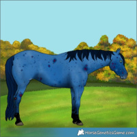 Horse Color:ERROR: UNKNOWN ANOMALY