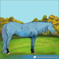 Horse Color:ERROR: UNKNOWN ANOMALY