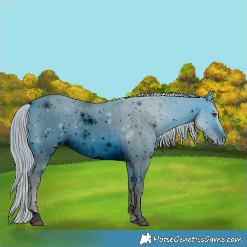 Horse Color:ERROR: UNKNOWN ANOMALY