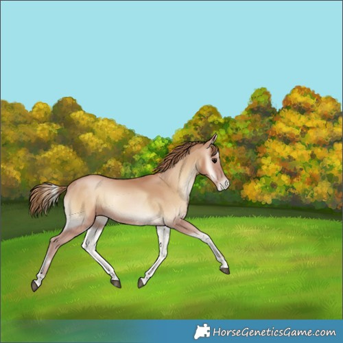 Horse Color:Blue Onyx Pearl 