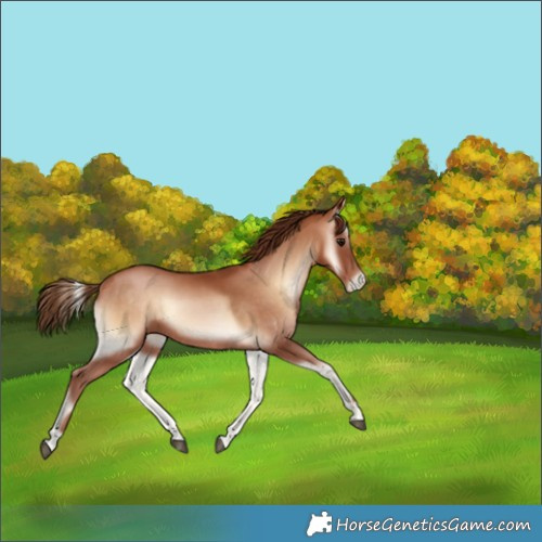Horse Color:Brown Pearl Onyx 