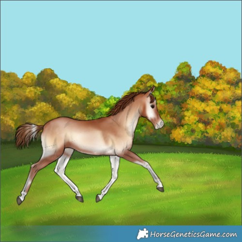 Horse Color:Brown Pearl Onyx 