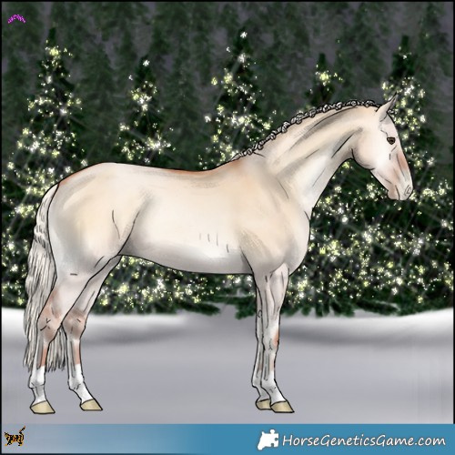 Horse Color:Silver Bay Pearl Onyx