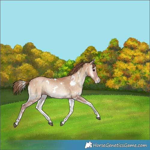 Horse Color:White Spotted Blue Onyx Pearl 