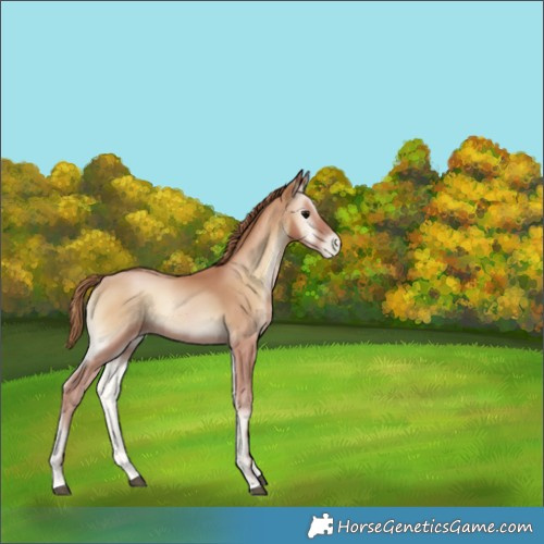 Horse Color:Blue Onyx Pearl 