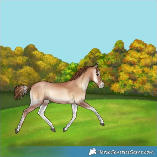 Horse Color:Red Onyx Pearl 