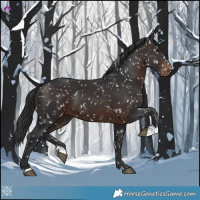 Horse Color:Brown Snowflake Varnish