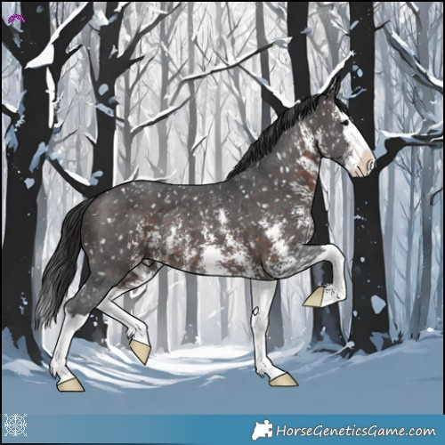 Horse Color:Brown Sabino Splash Snowflake Varnish