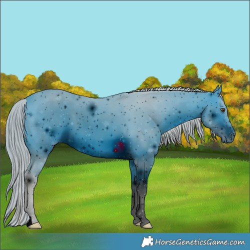 Horse Color:ERROR: UNKNOWN ANOMALY