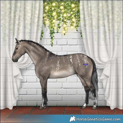 Horse Color:Powder White Brown Dun 