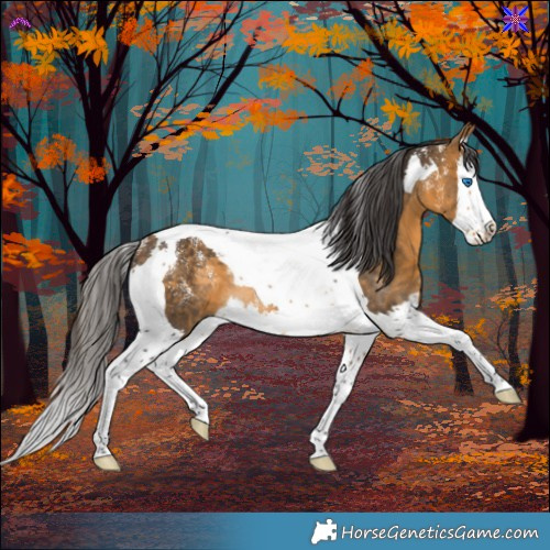 Horse Color:Powder White Buckskin Splash Tobiano Rabicano 
