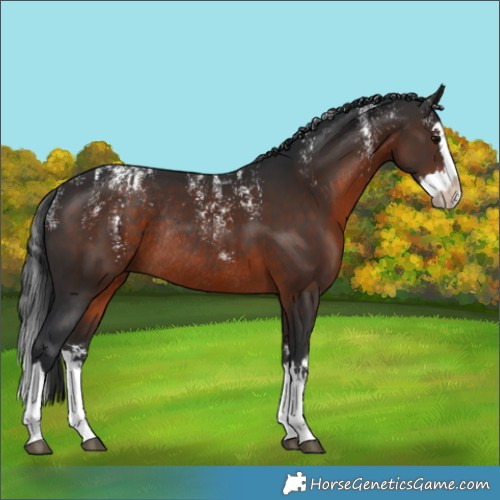 Horse Color:Powder White Brown Splash Rabicano 