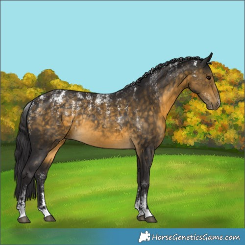 Horse Color:Powder White Buckskin Rabicano 