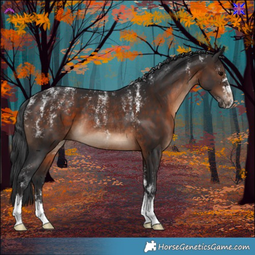 Horse Color:Powder White Brown Rabicano 