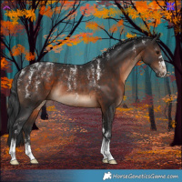 Horse Color:Powder White Brown Rabicano 