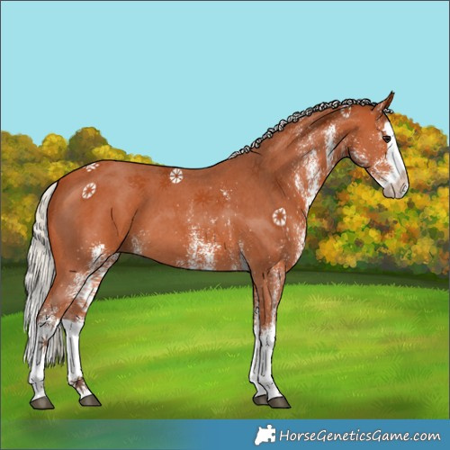 Horse Color:White Spotted Silver Bay Splash 