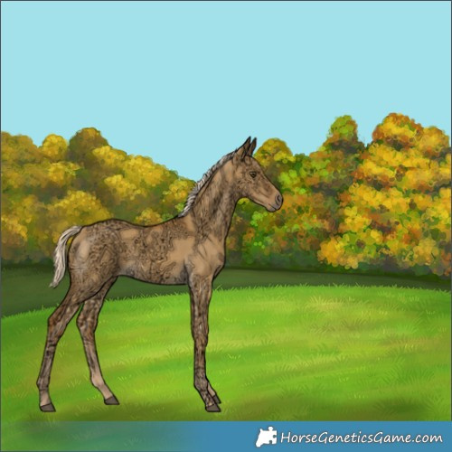 Horse Color:Palomino Ice Dun Rabicano 