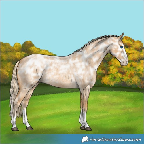 Horse Color:Palomino Ice Roan Splash Rabicano 